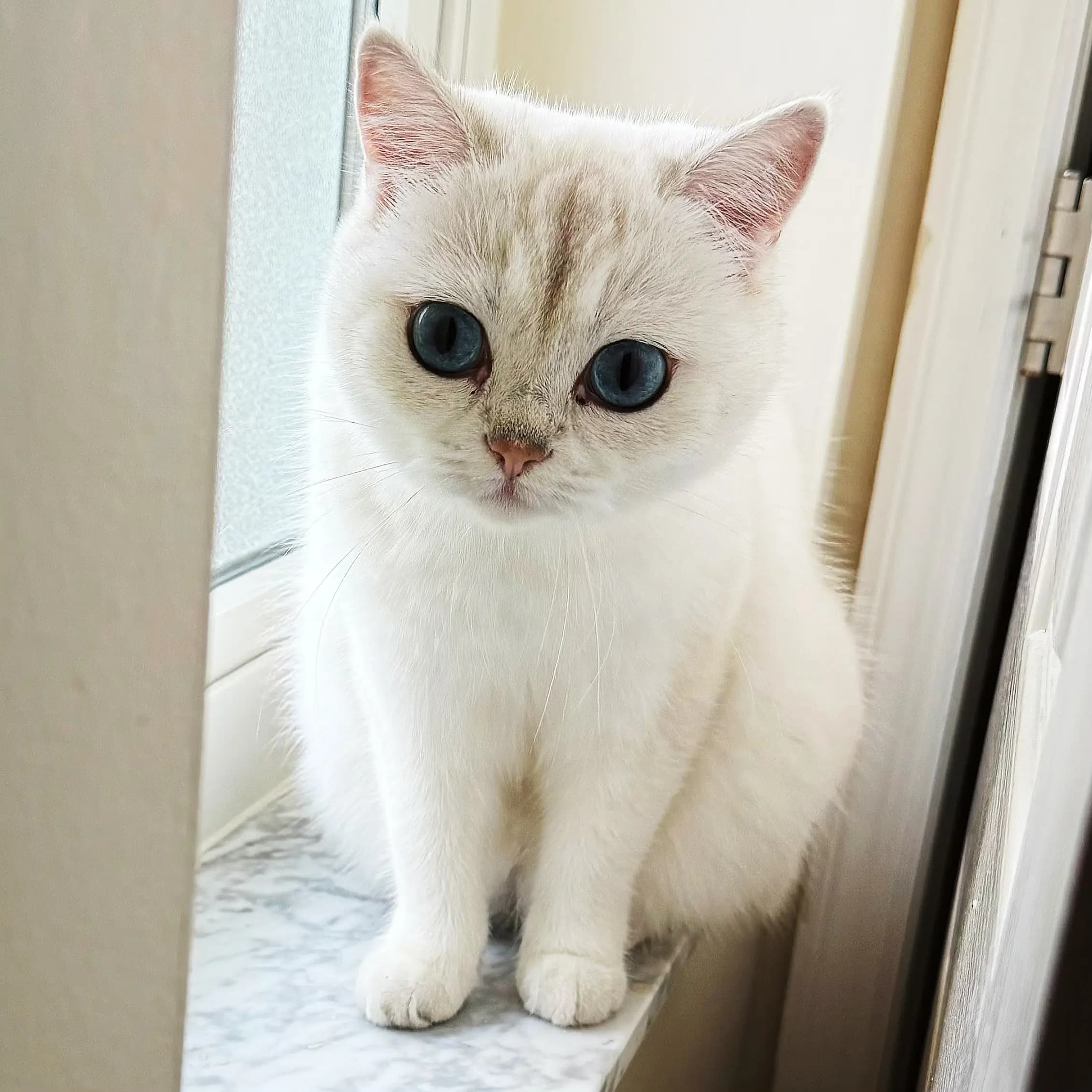 No words needed — just one look melts everything.